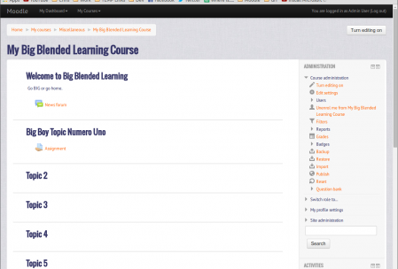 Course: My Big Blended Learning Course - Google Chrome_029